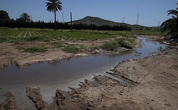 Galería. El derrame de la depuradora de Cabezo Beaza anega parcelas agrícolas y viales