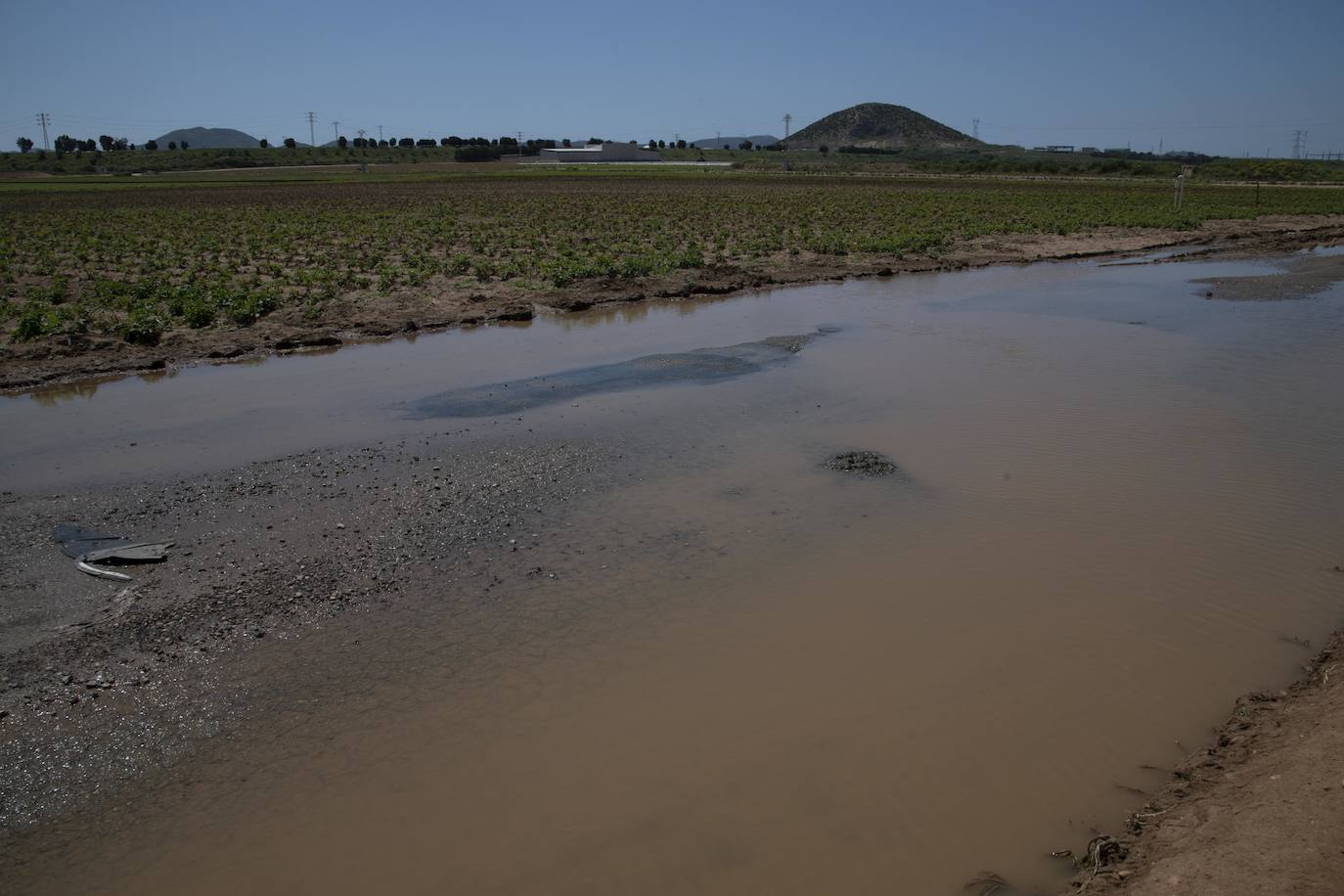 Fotos: El derrame de la depuradora de Cabezo Beaza anega parcelas agrícolas y viales