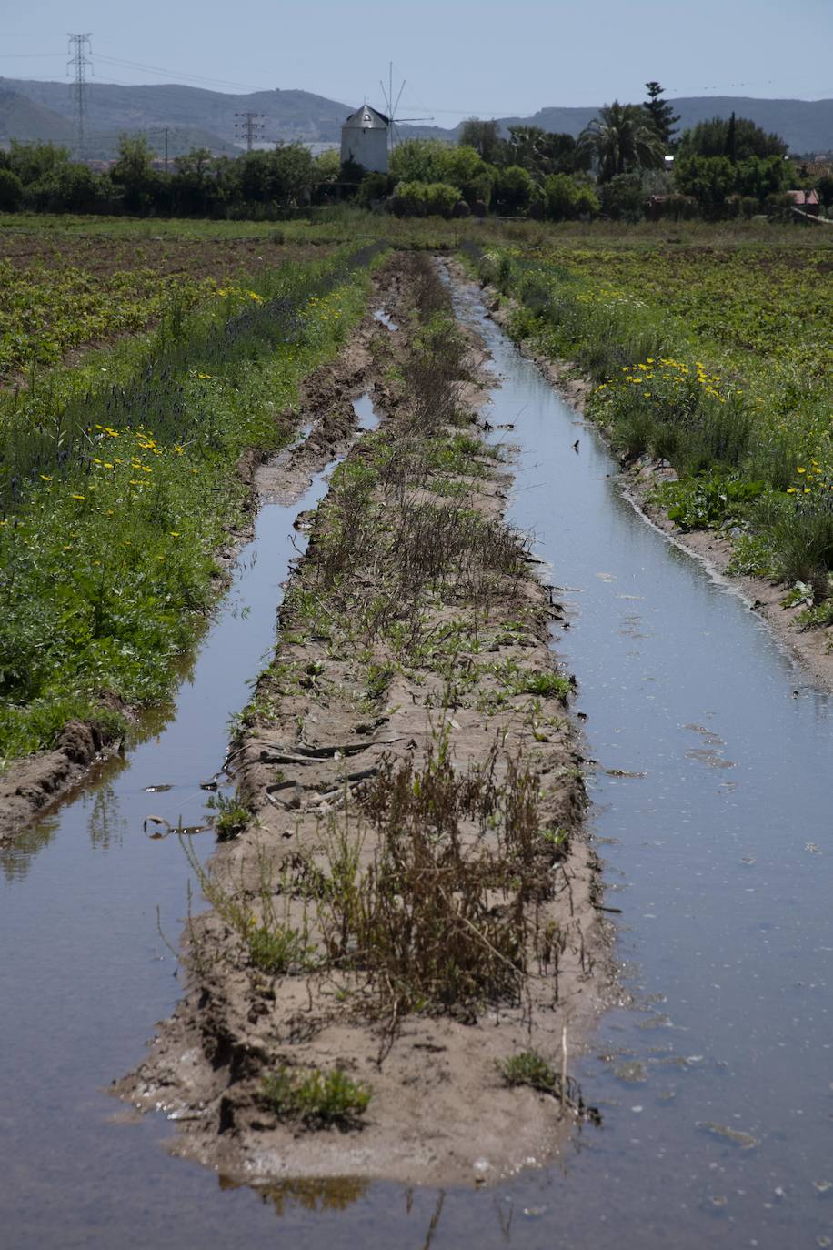 Fotos: El derrame de la depuradora de Cabezo Beaza anega parcelas agrícolas y viales
