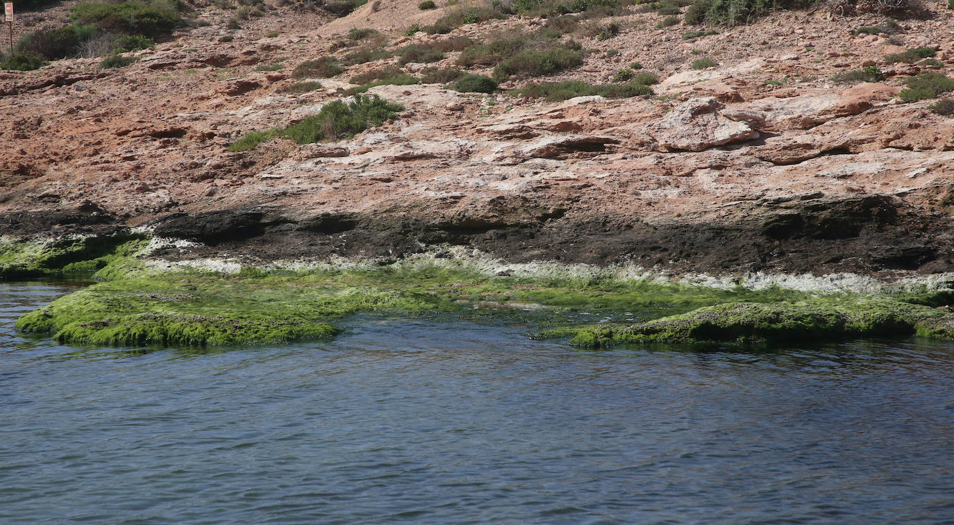 Estado del agua en la Isla del Barón. 