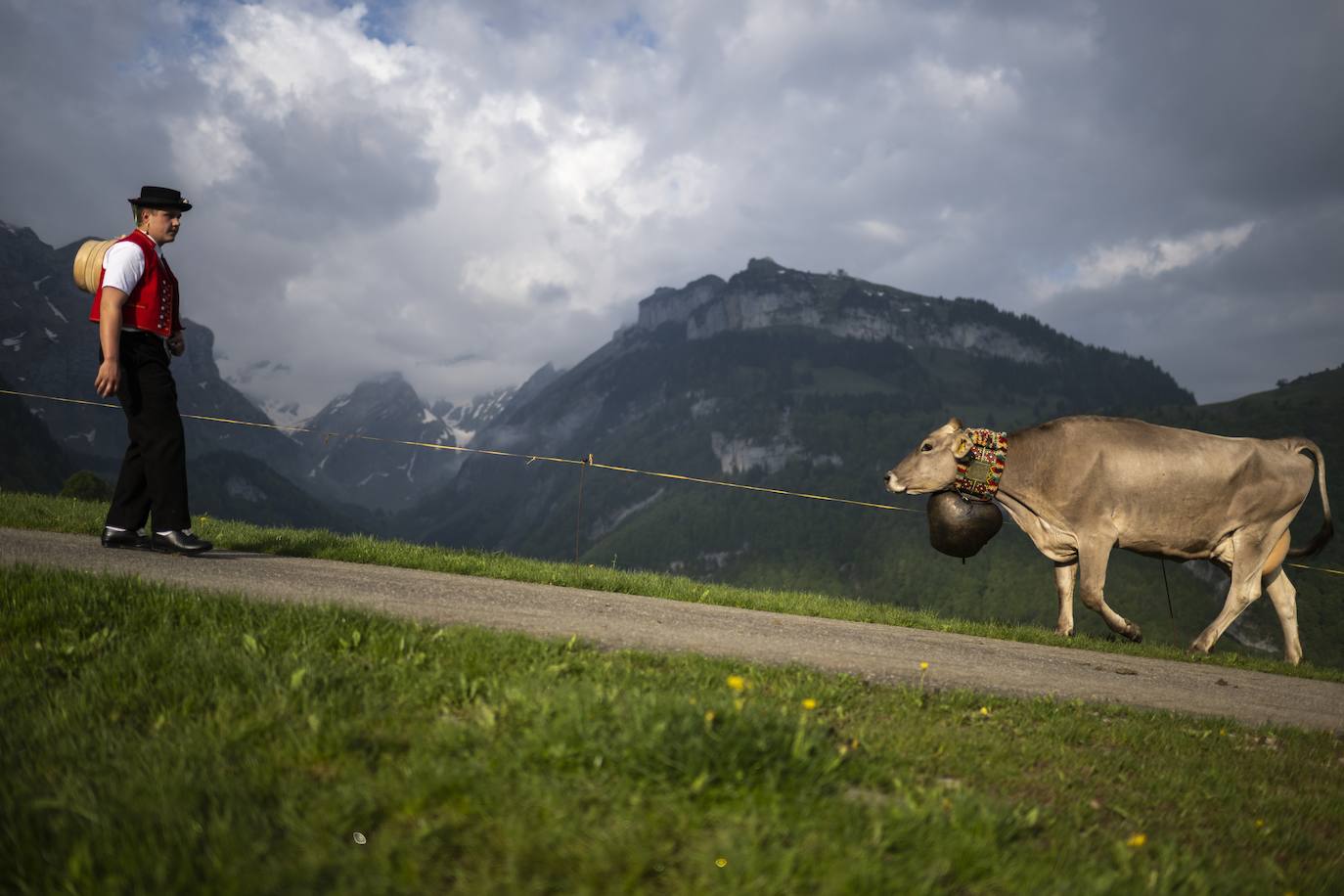 Fotos: Alpaufzug en Suiza