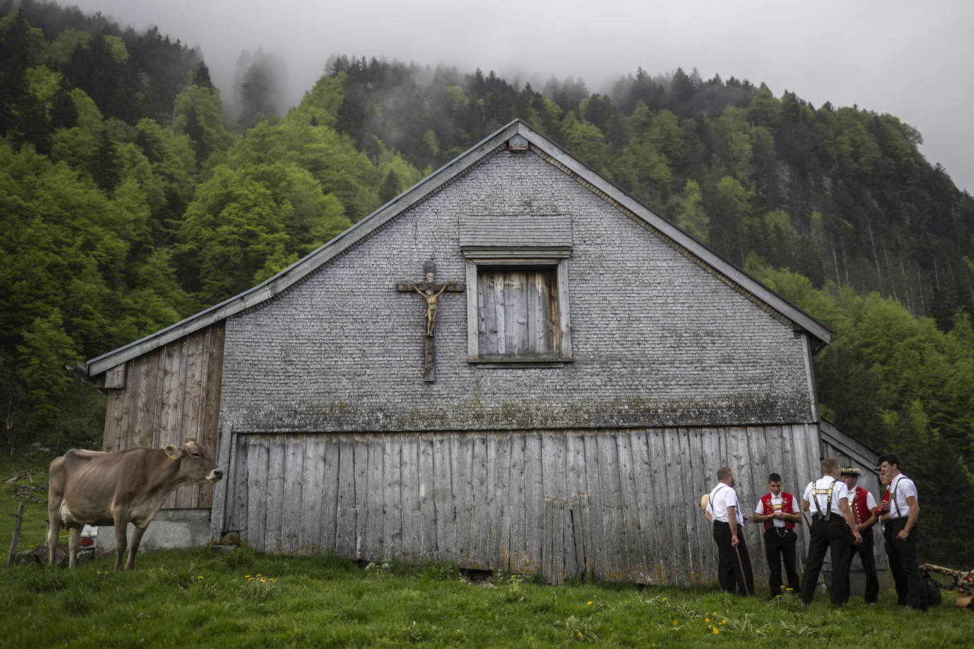 Fotos: Alpaufzug en Suiza