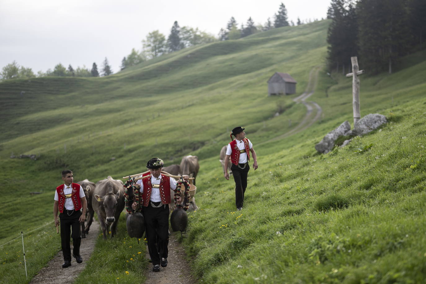 Fotos: Alpaufzug en Suiza
