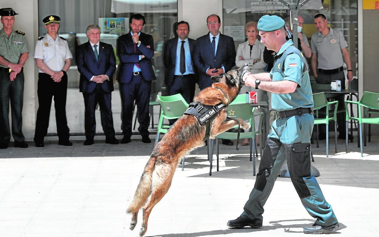 Momento de la exhibición realizada ayer por la Guardia Civil en la jornada sobre la seguridad privada. 