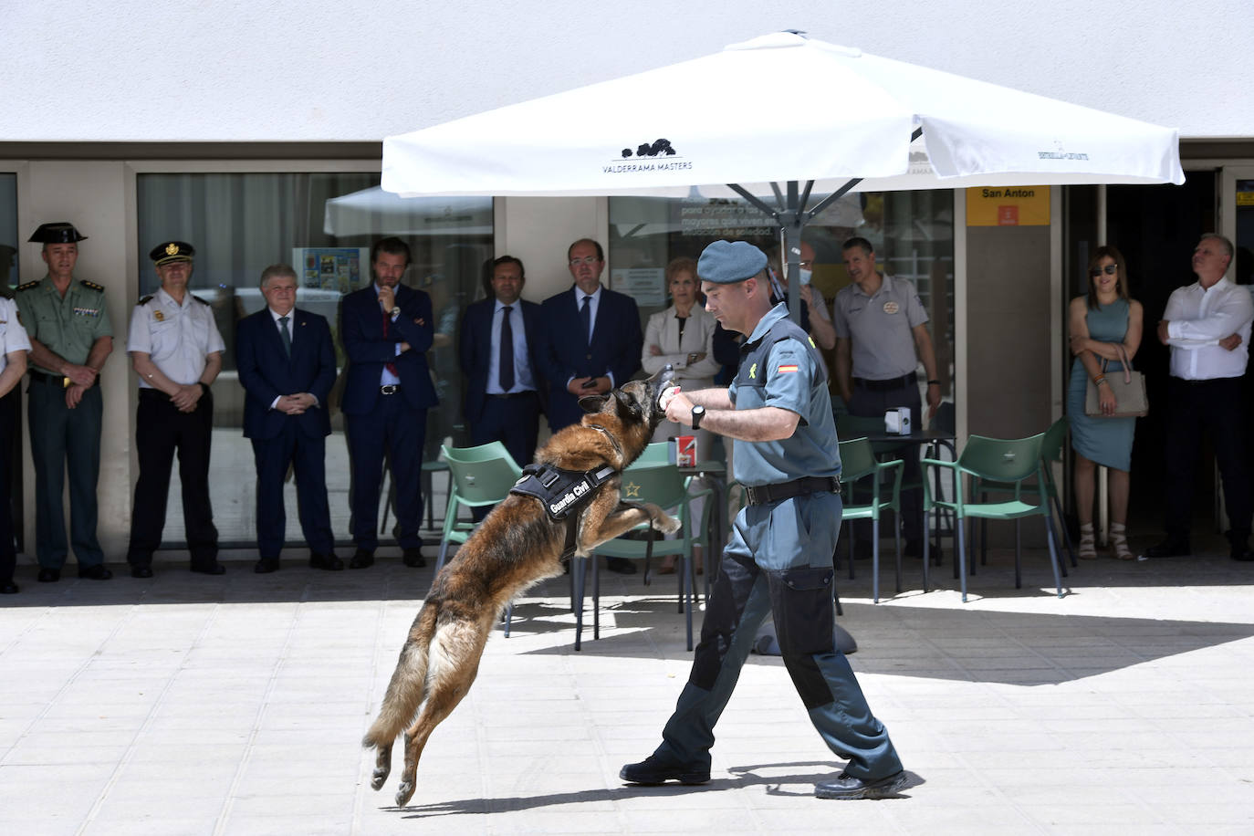 Fotos: Día de la Seguridad Privada