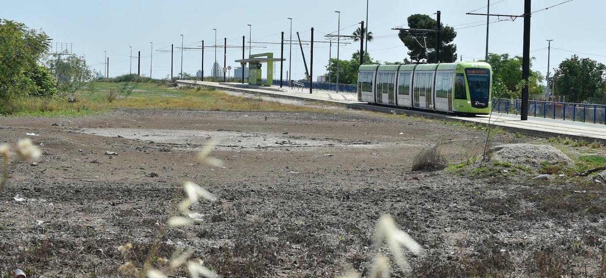 El terreno público en la pedanía de Guadalupe que suele inundarse con las lluvias se convertirá en un parking disuasorio, según las previsiones del Ayuntamiento. 