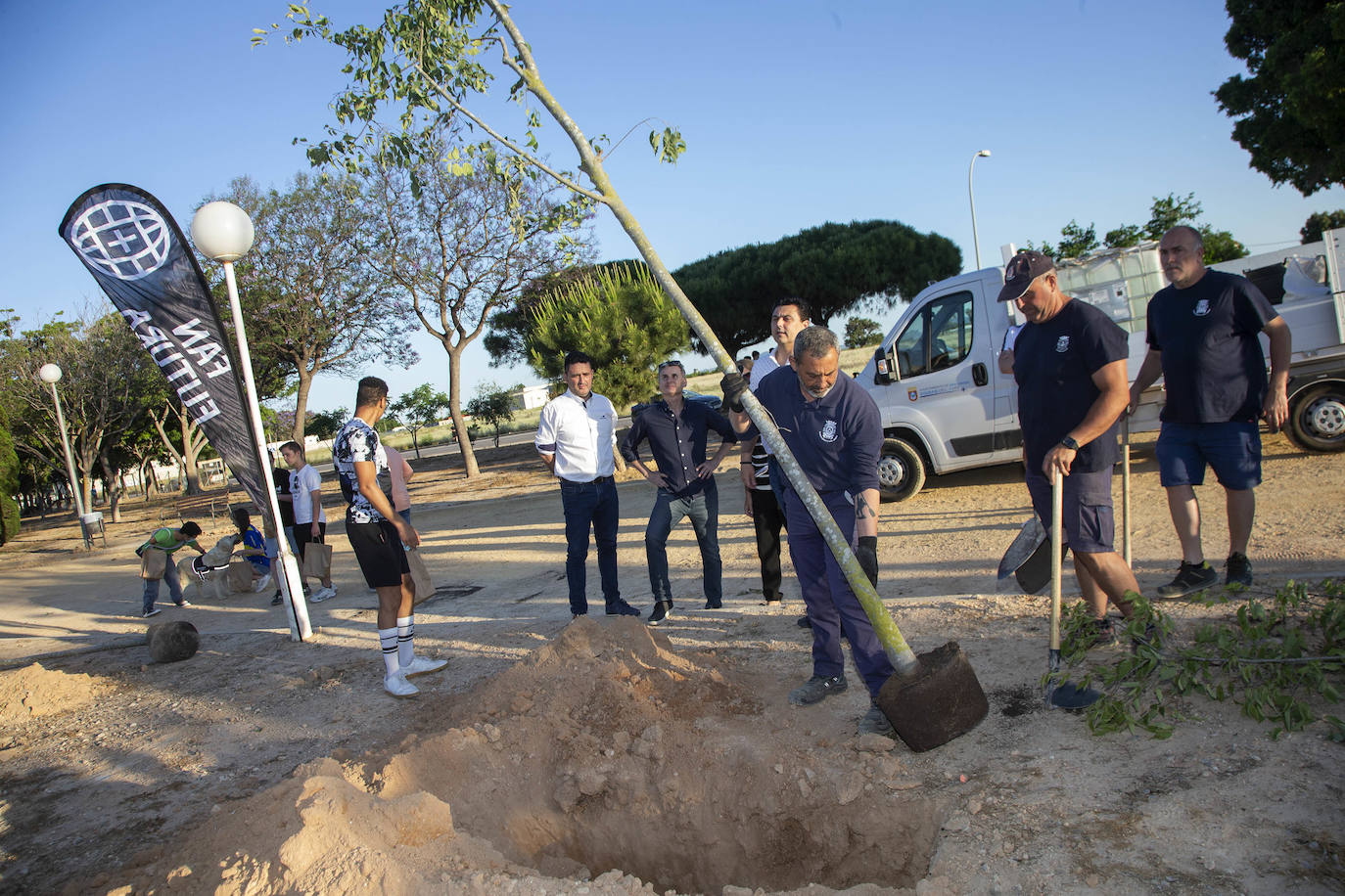 Fotos: Sonidos que dan árboles