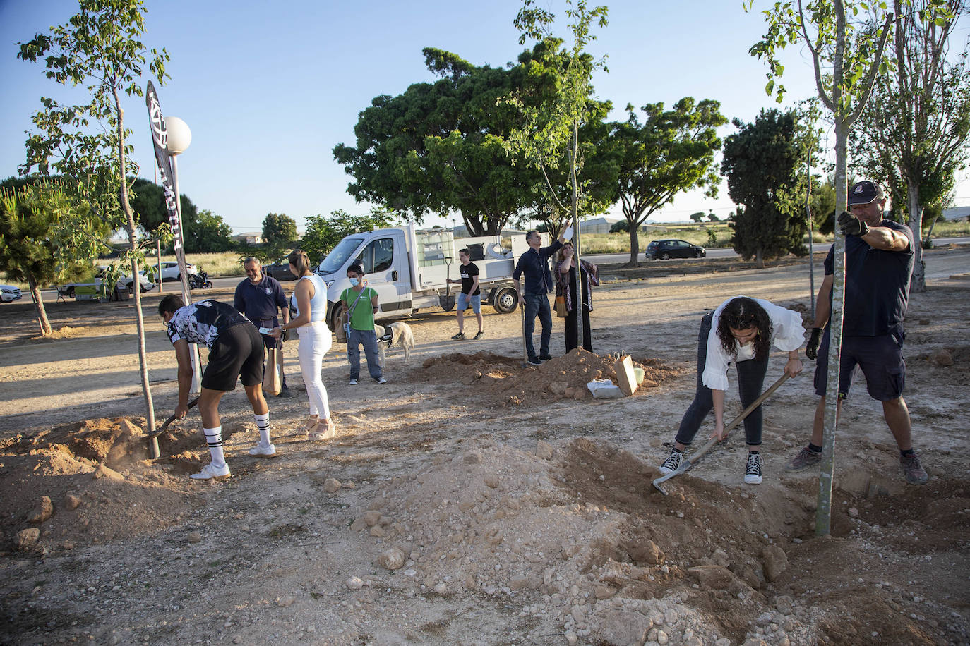 Fotos: Sonidos que dan árboles