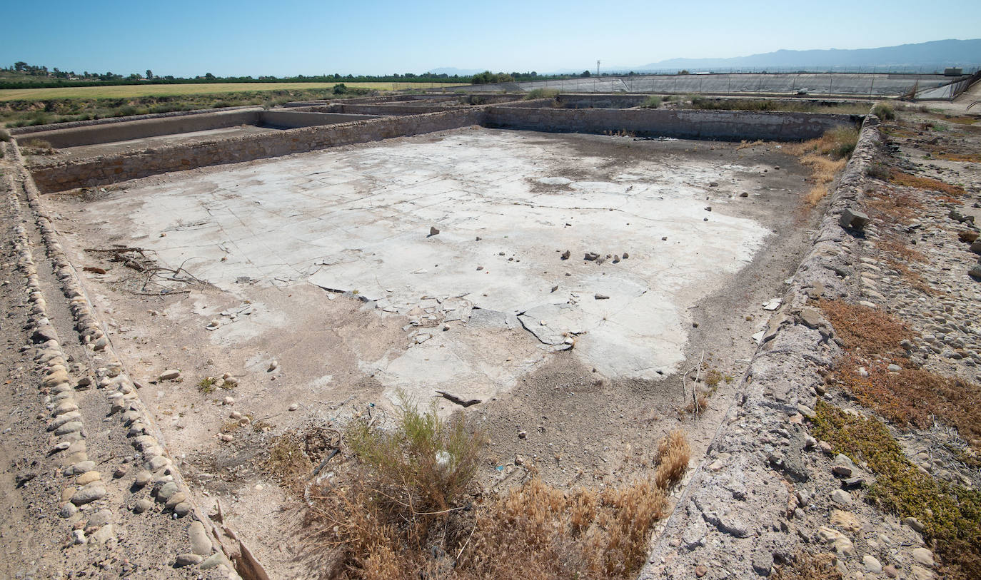 Fotos: Salvan de la ruina las Salinas Reales de Sangonera la Seca