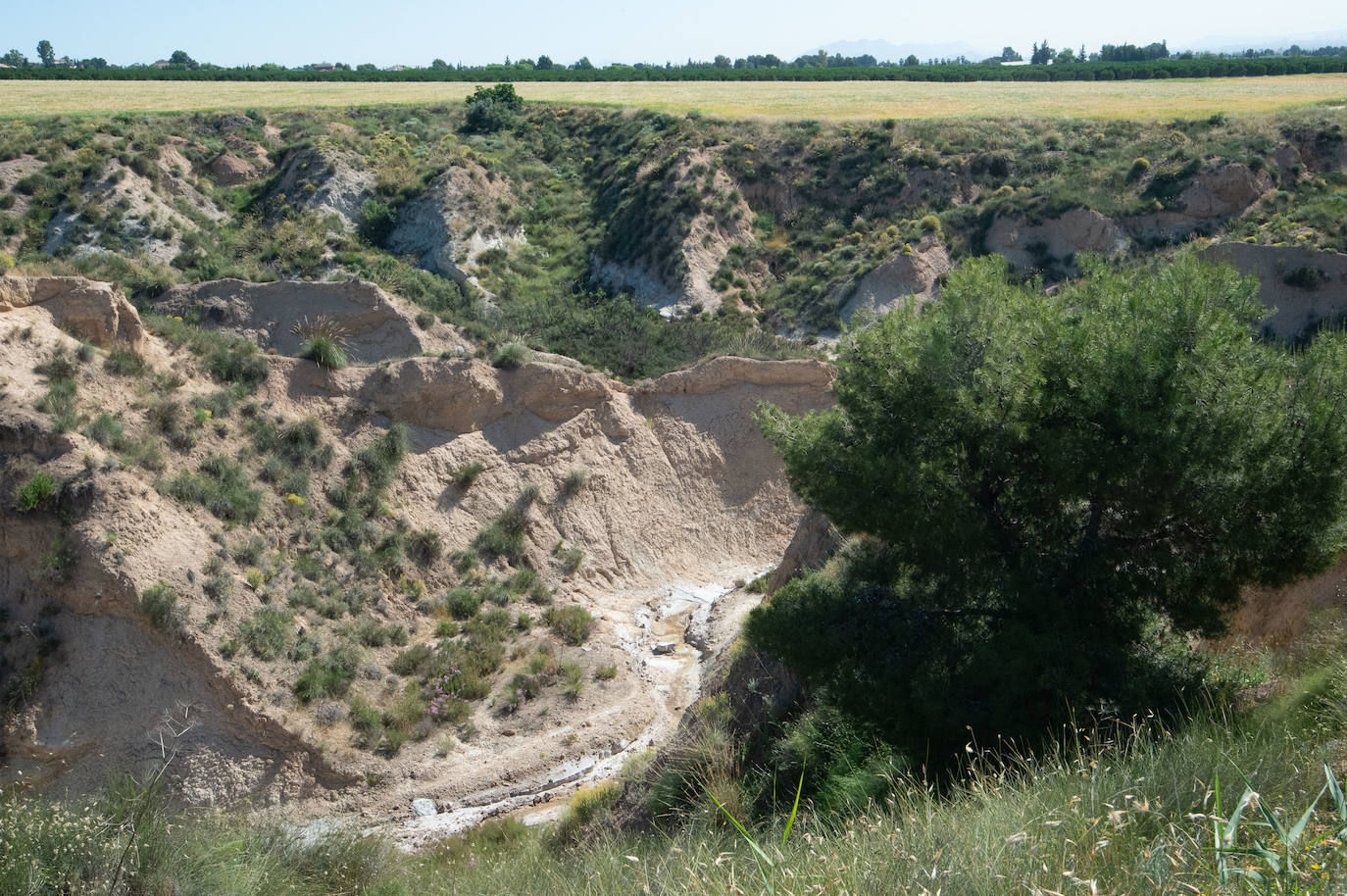 Fotos: Salvan de la ruina las Salinas Reales de Sangonera la Seca