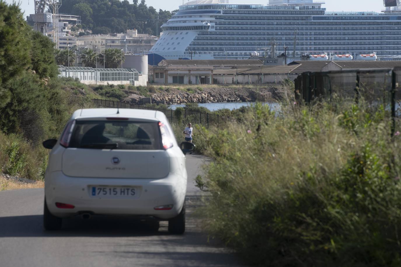 Fotos: &#039;Basuraleza&#039; en la ruta del faro de Navidad en Cartagena