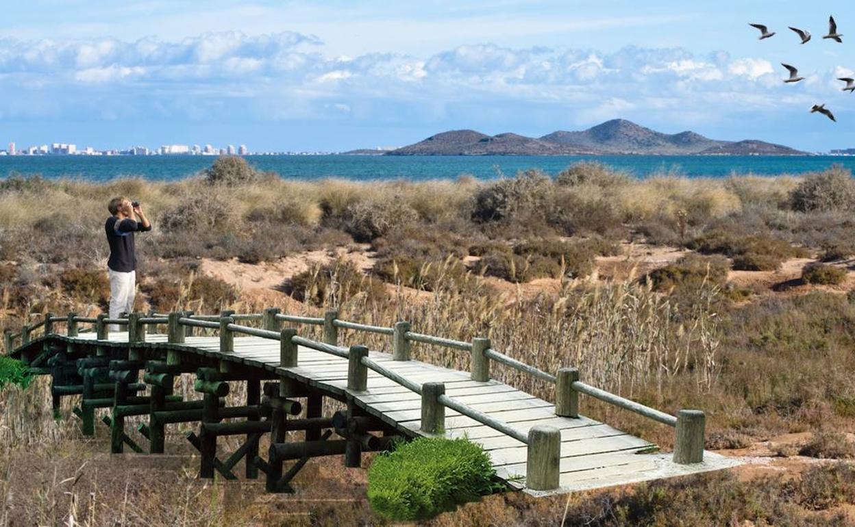 Recreación virtual de una pasarela elevada en la Marina del Carmolí. 