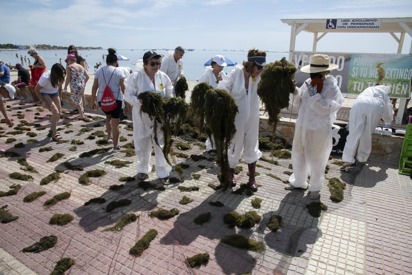 Fotos: Los actos simbólicos de protesta en el Mar Menor por el Día Mundial del Medio Ambiente