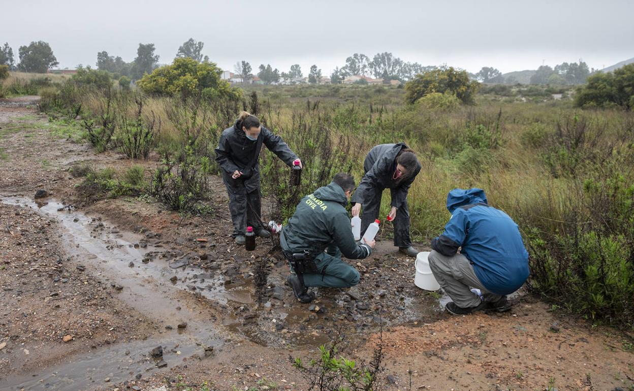 Agentes del Seprona y técnicos de la CHS, tomando muestras junto al solar de la antigua Balsa Jenny, en Llano del Beal, en marzo.