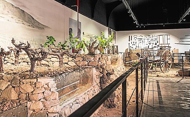 Una sala del Museo del Vino de Jumilla, en la que se pueden contemplar las viñas.