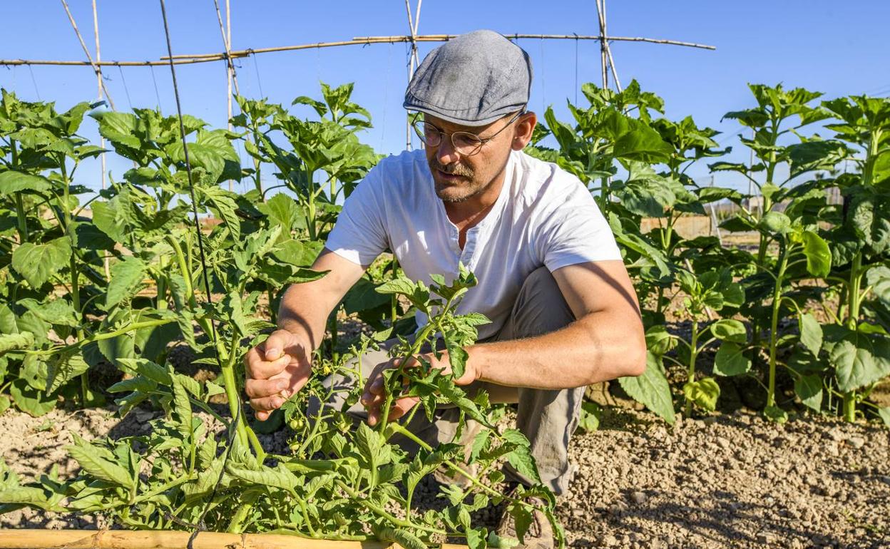 Rafael García, en una finca de la entidad Del Bancal a Casa, del Grupo Operativo Agrodiverso. 