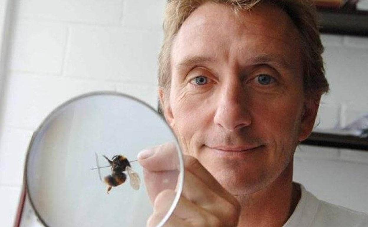 Dave Goulson, con un abejorro en su laboratorio.