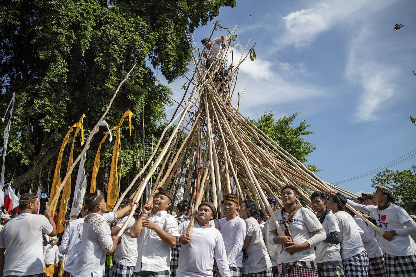 Fotos: El poder de los palos balineses