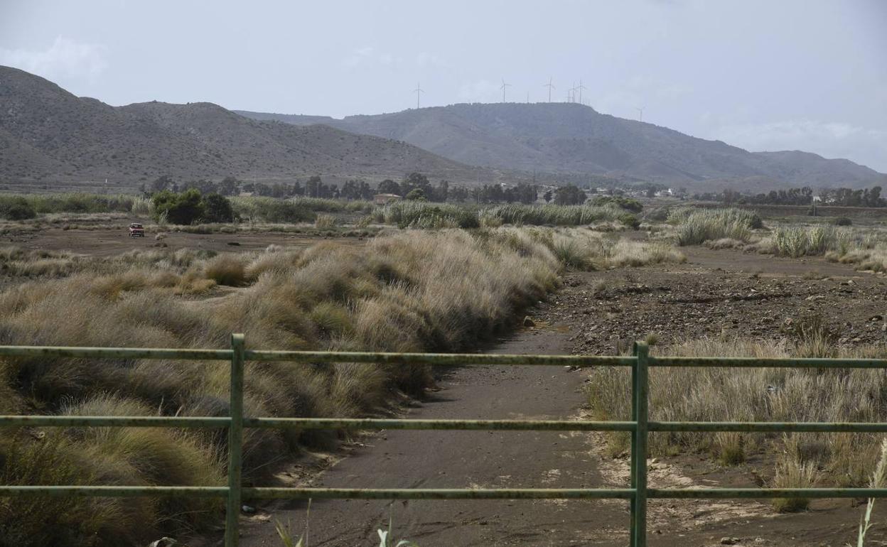 Rambla de El Beal en una imagen de archivo.
