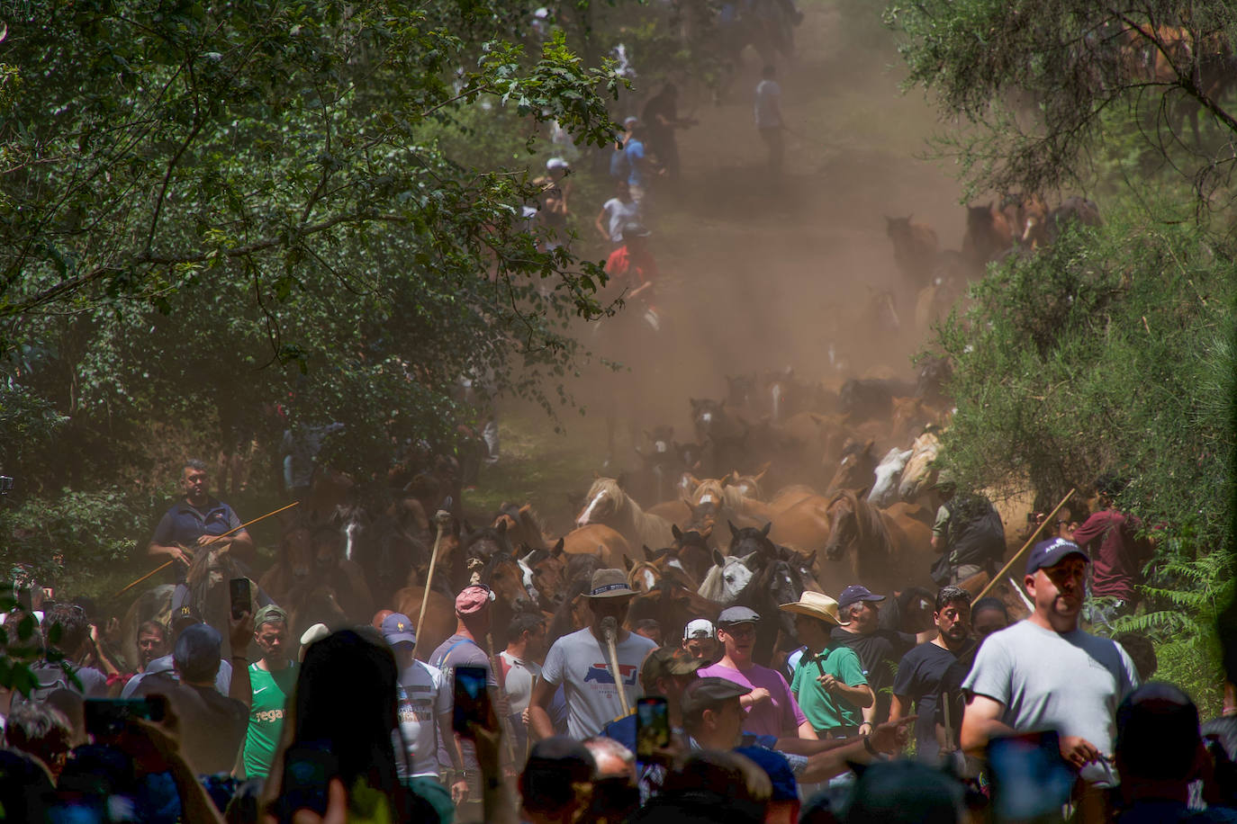 Fotos: Rapa das Bestas 2022