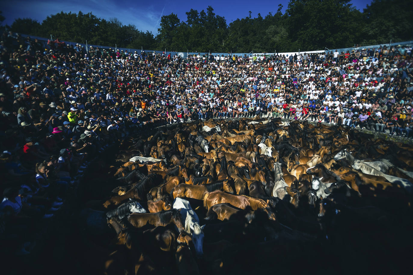 Fotos: Rapa das Bestas 2022
