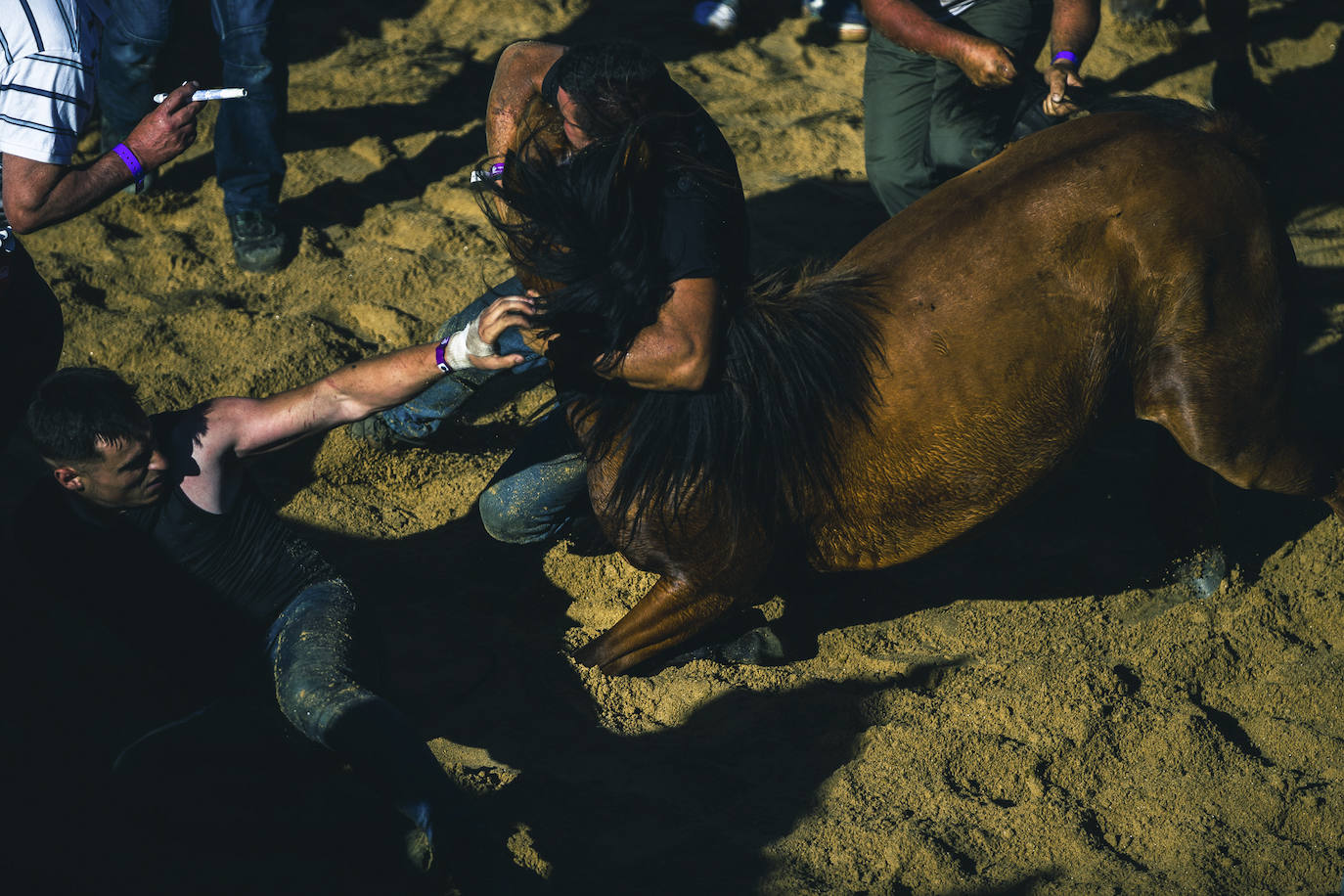 Fotos: Rapa das Bestas 2022