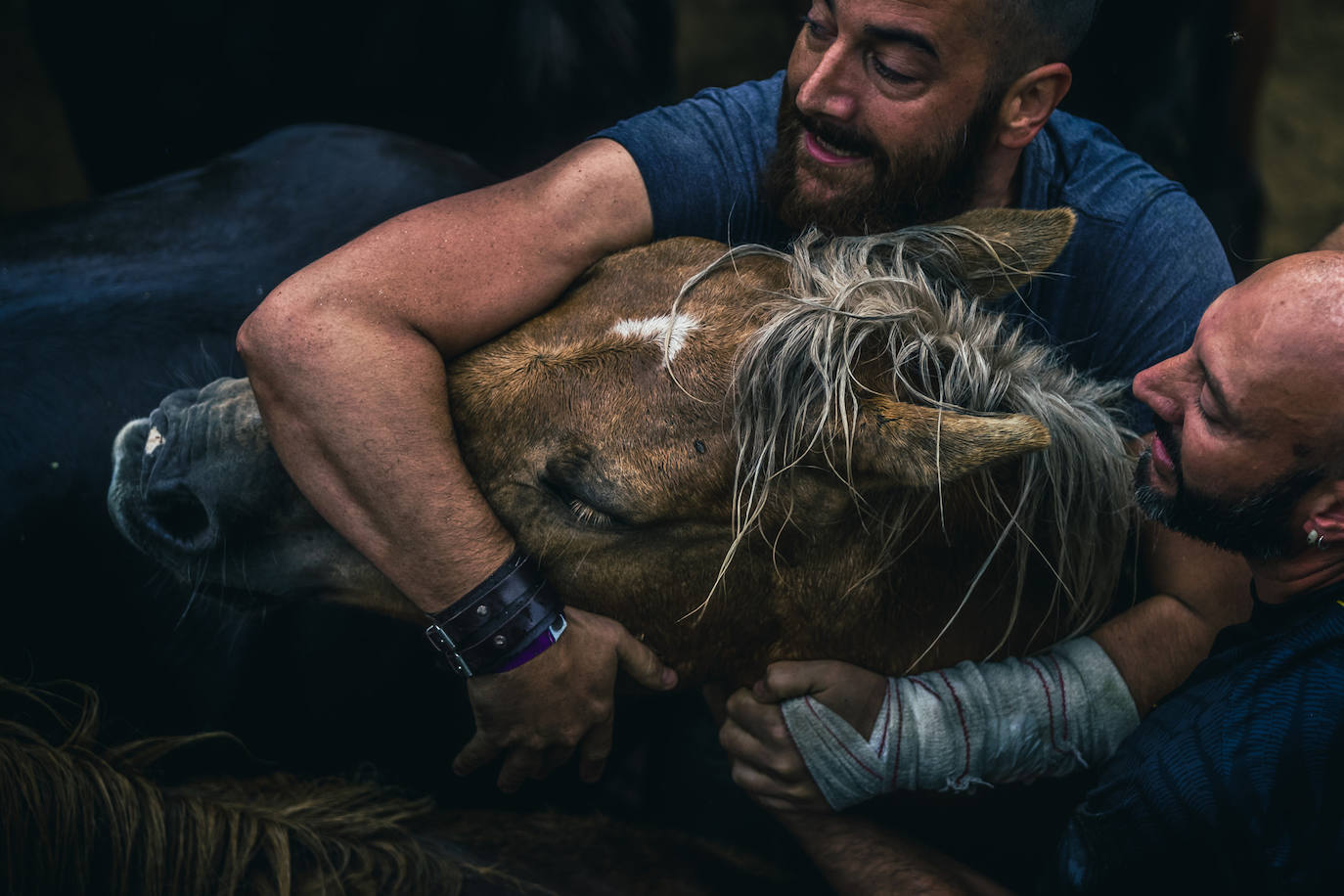 Fotos: Rapa das Bestas 2022