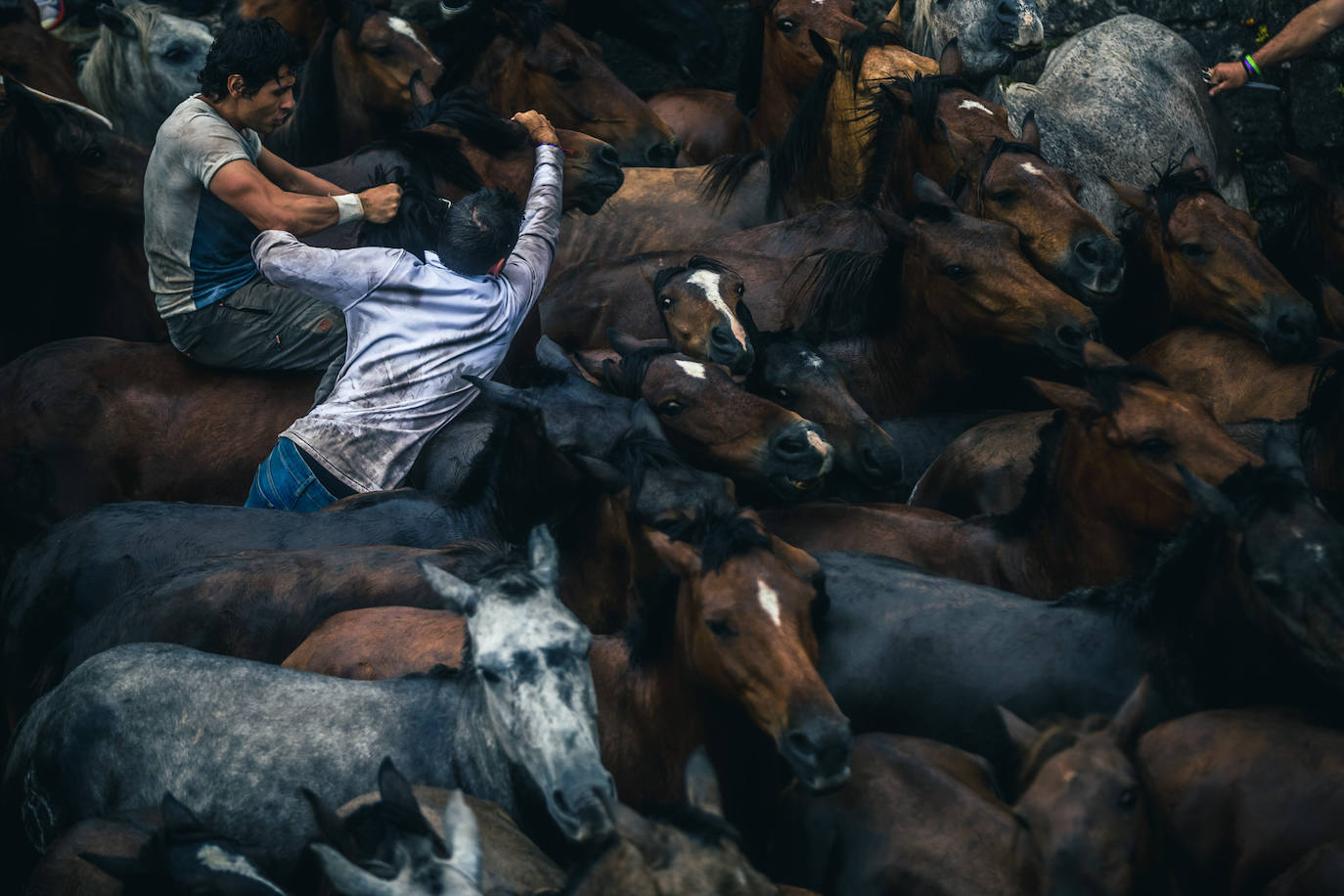 Fotos: Rapa das Bestas 2022