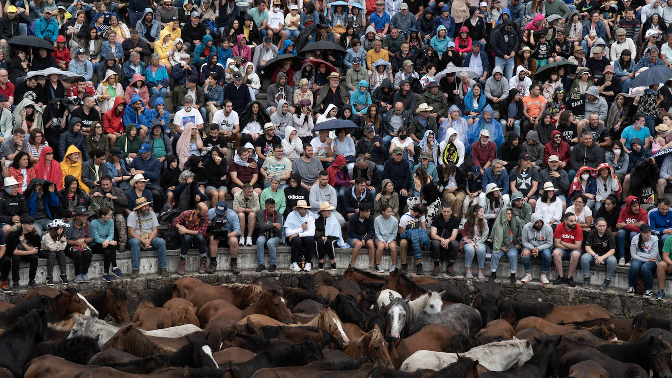 Fotos: Rapa das Bestas 2022