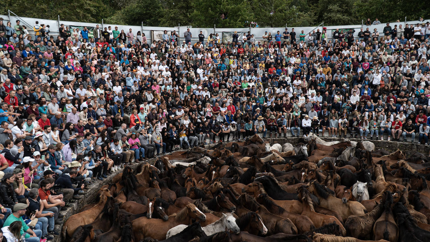 Fotos: Rapa das Bestas 2022
