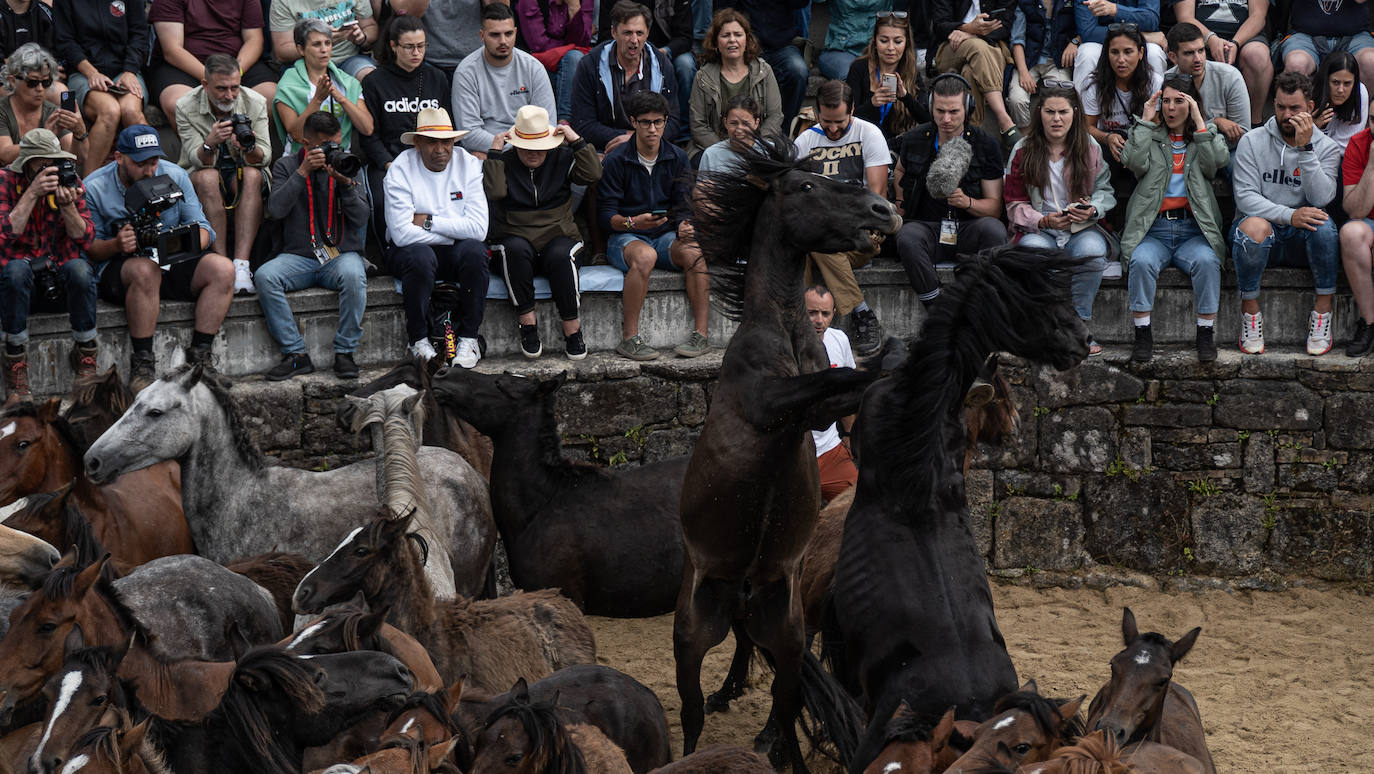 Fotos: Rapa das Bestas 2022