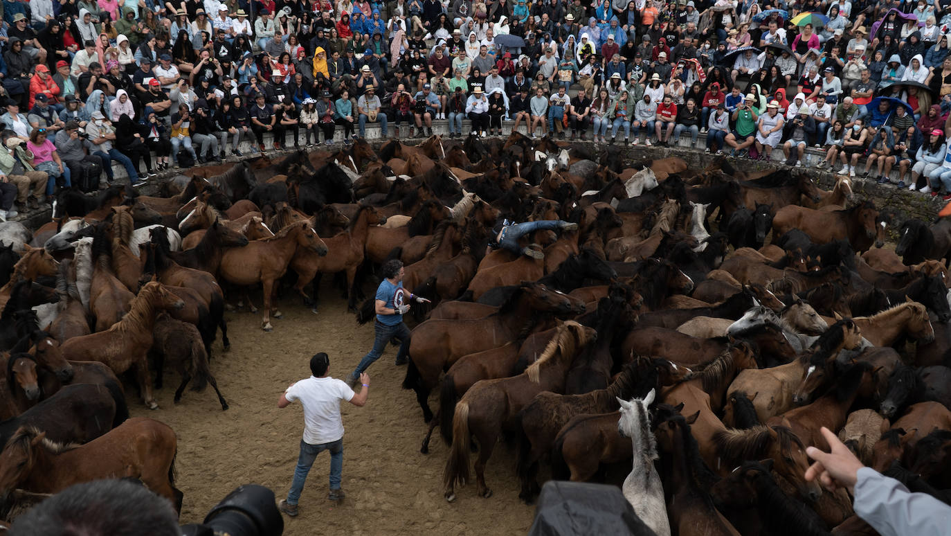 Fotos: Rapa das Bestas 2022