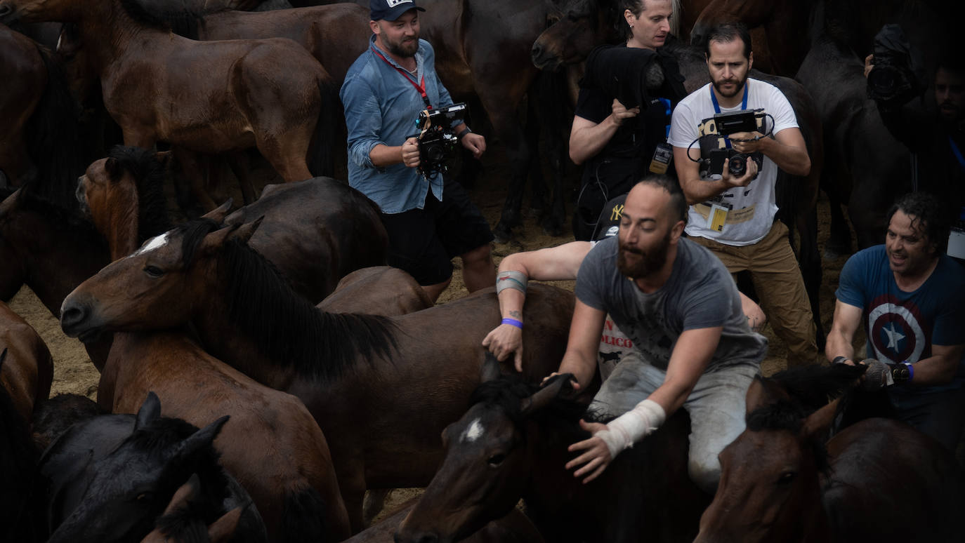Fotos: Rapa das Bestas 2022