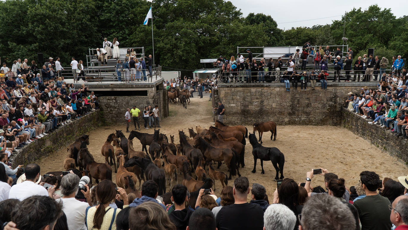 Fotos: Rapa das Bestas 2022