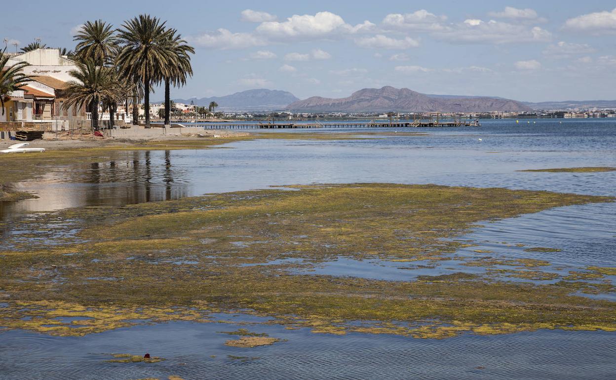 Estado del Mar Menor en Los Urrutias, en una foto de hace un mes.