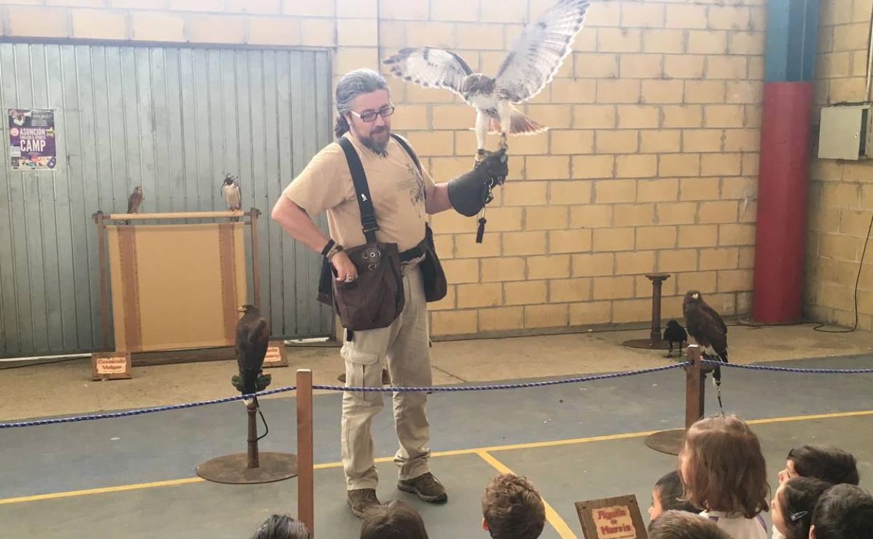 Un cetrero experto exhibe una selección de aves rapaces a un grupo de escolares. 