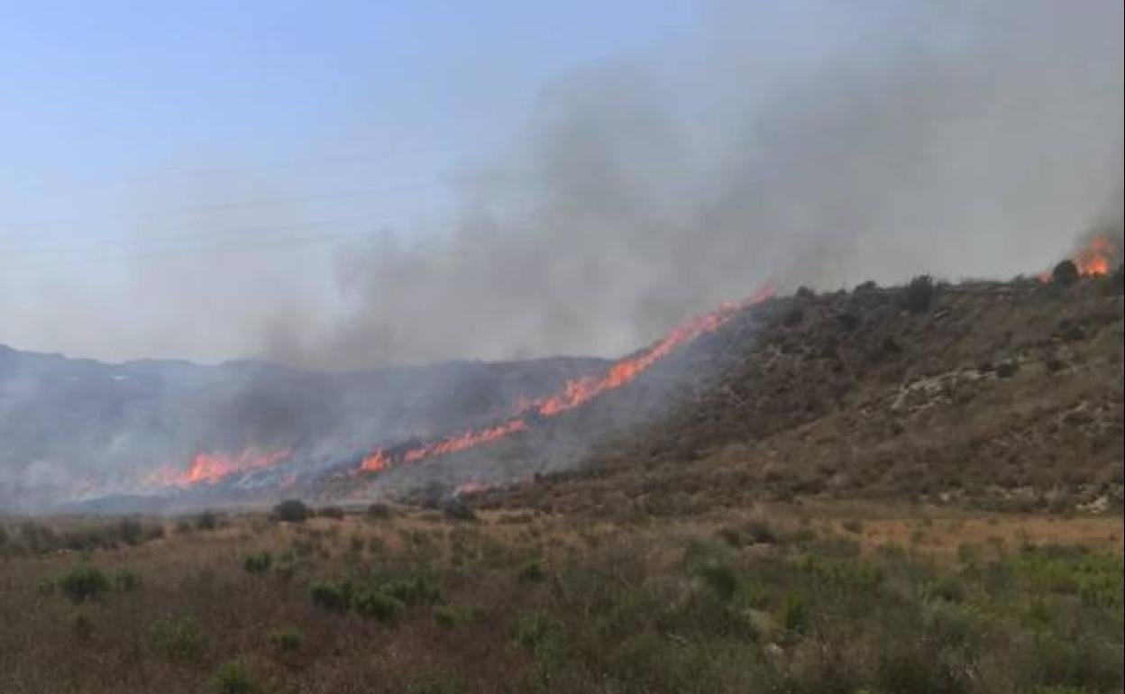 Incendio declarado en un monte de El Saladillo, en Mazarrón.