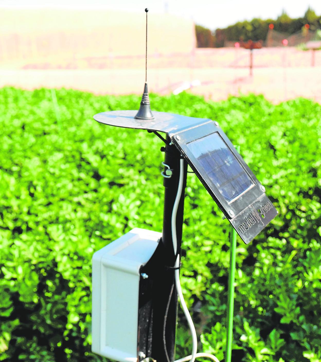 Las cooperativas agrarias impulsan la tecnología y la investigación para garantizar la sostenibilidad. 