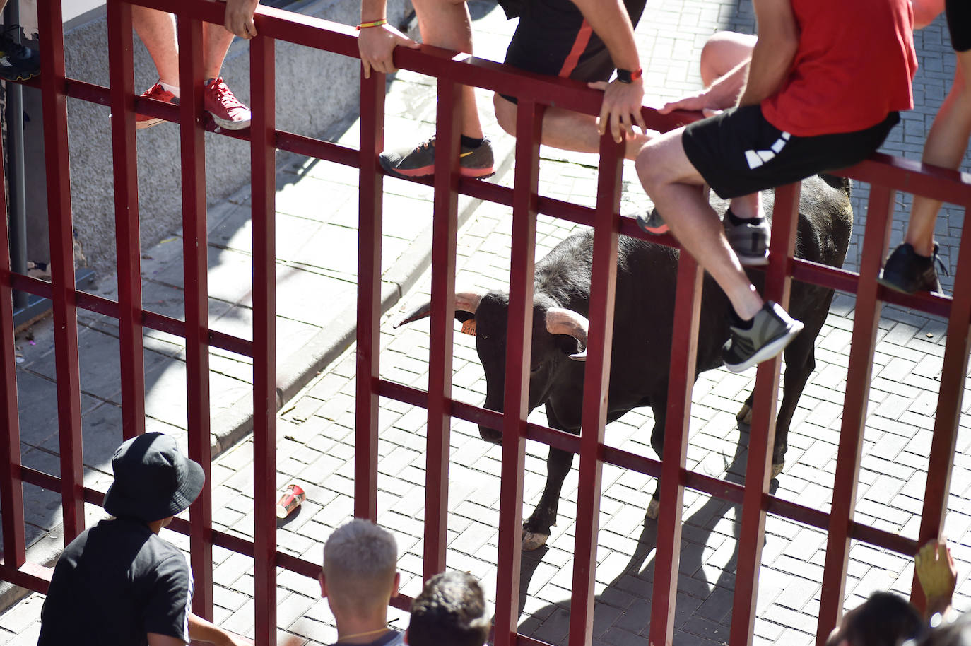 Fotos: Las imágenes del último encierro de Moratalla 2022