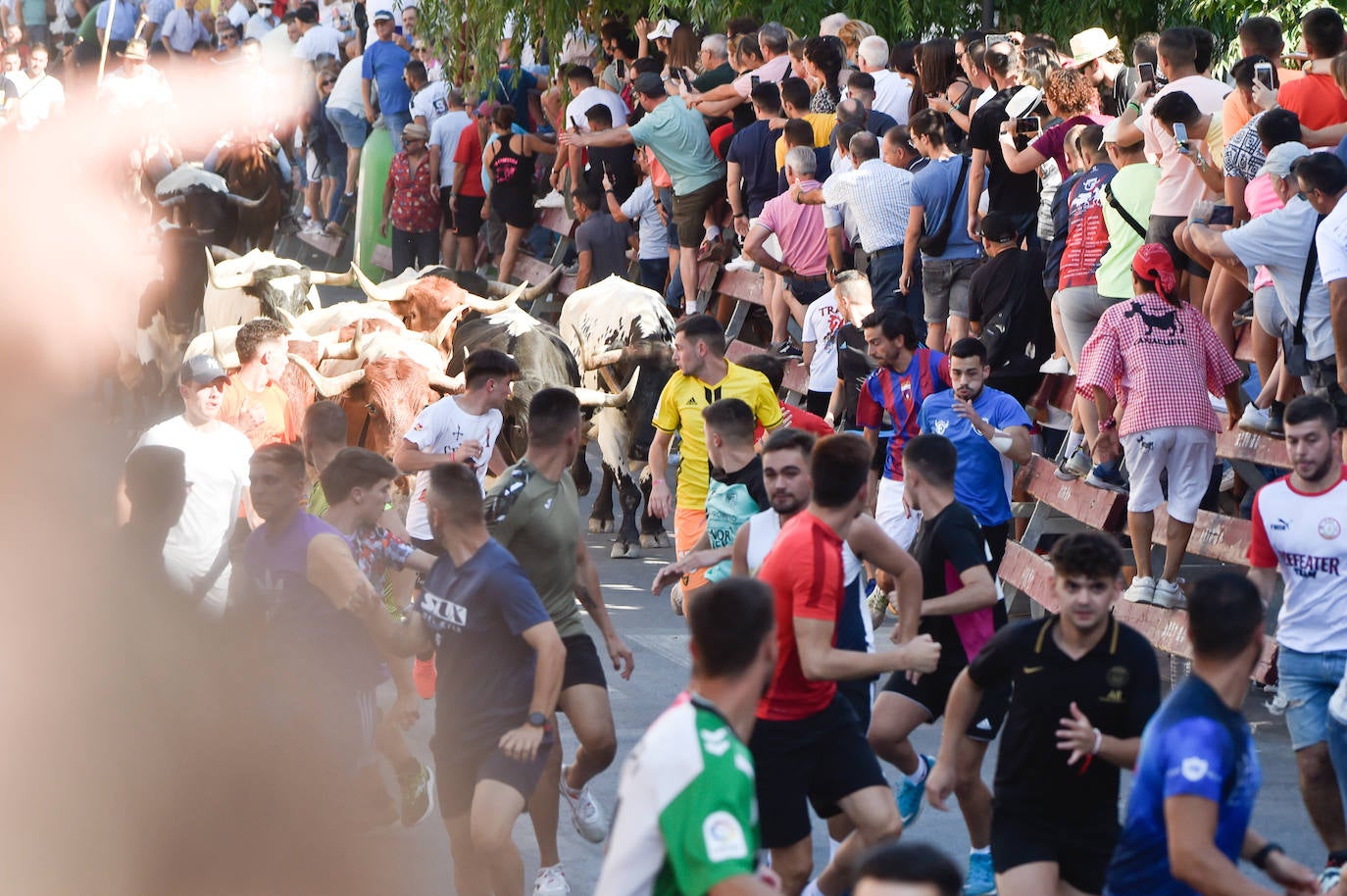 Fotos: Las imágenes del último encierro de Moratalla 2022