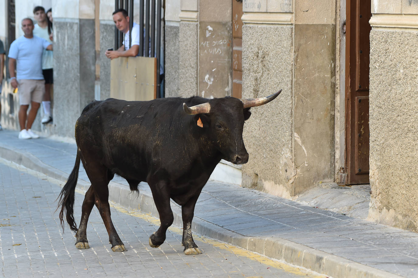 Fotos: Las imágenes del último encierro de Moratalla 2022