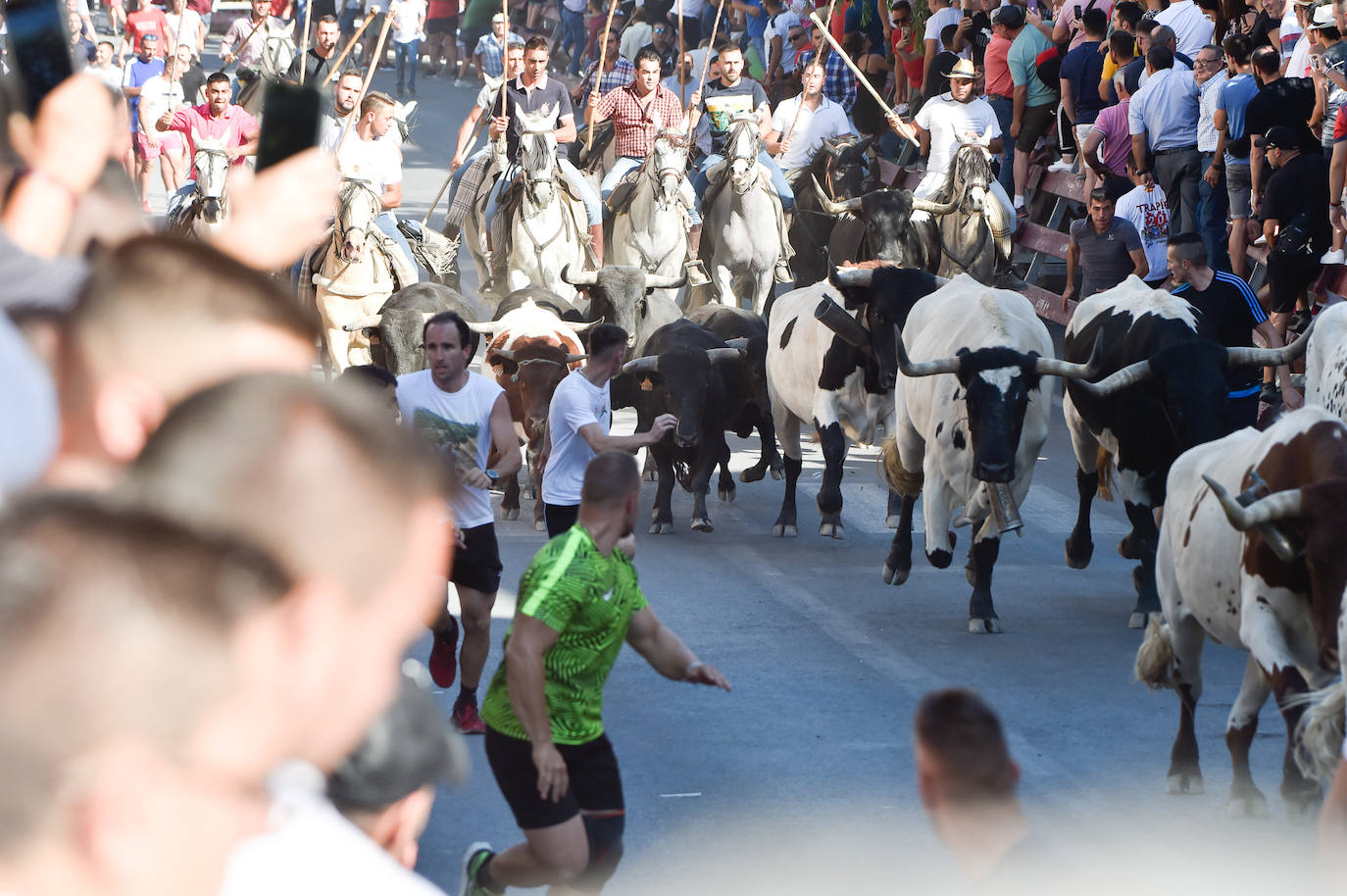Fotos: Las imágenes del último encierro de Moratalla 2022