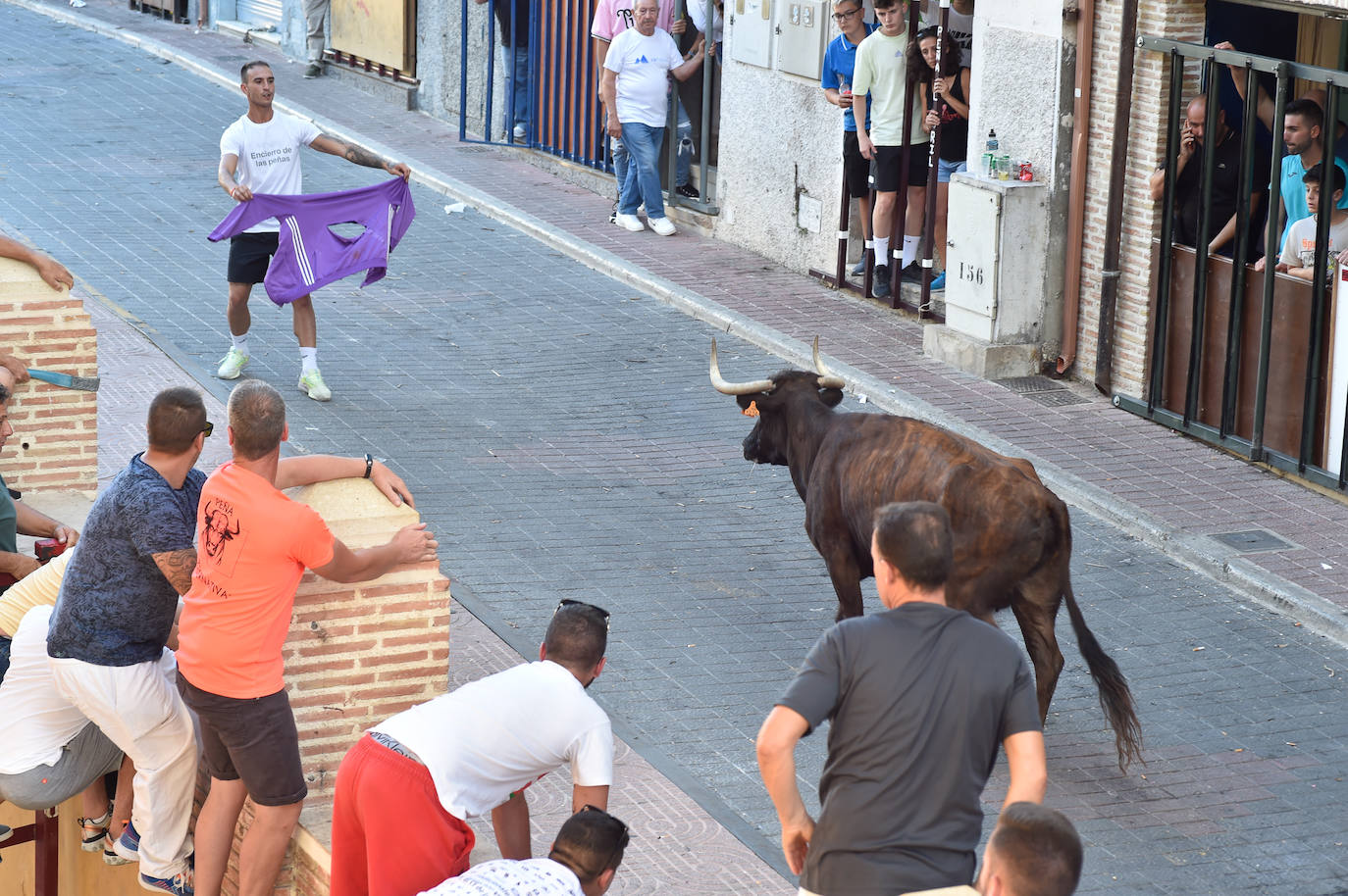 Fotos: Las imágenes del último encierro de Moratalla 2022