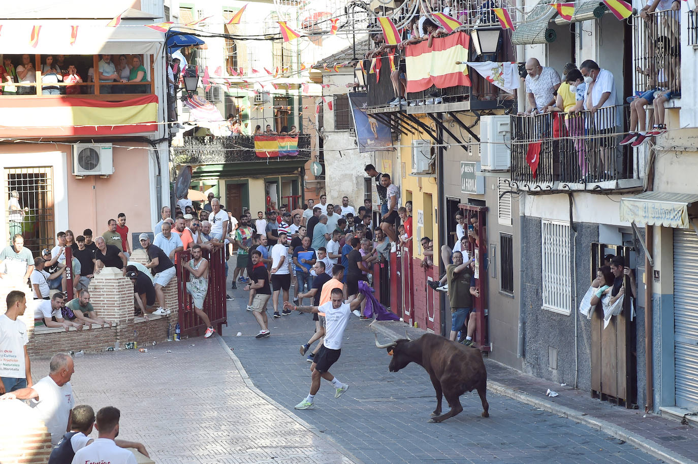 Fotos: Las imágenes del último encierro de Moratalla 2022