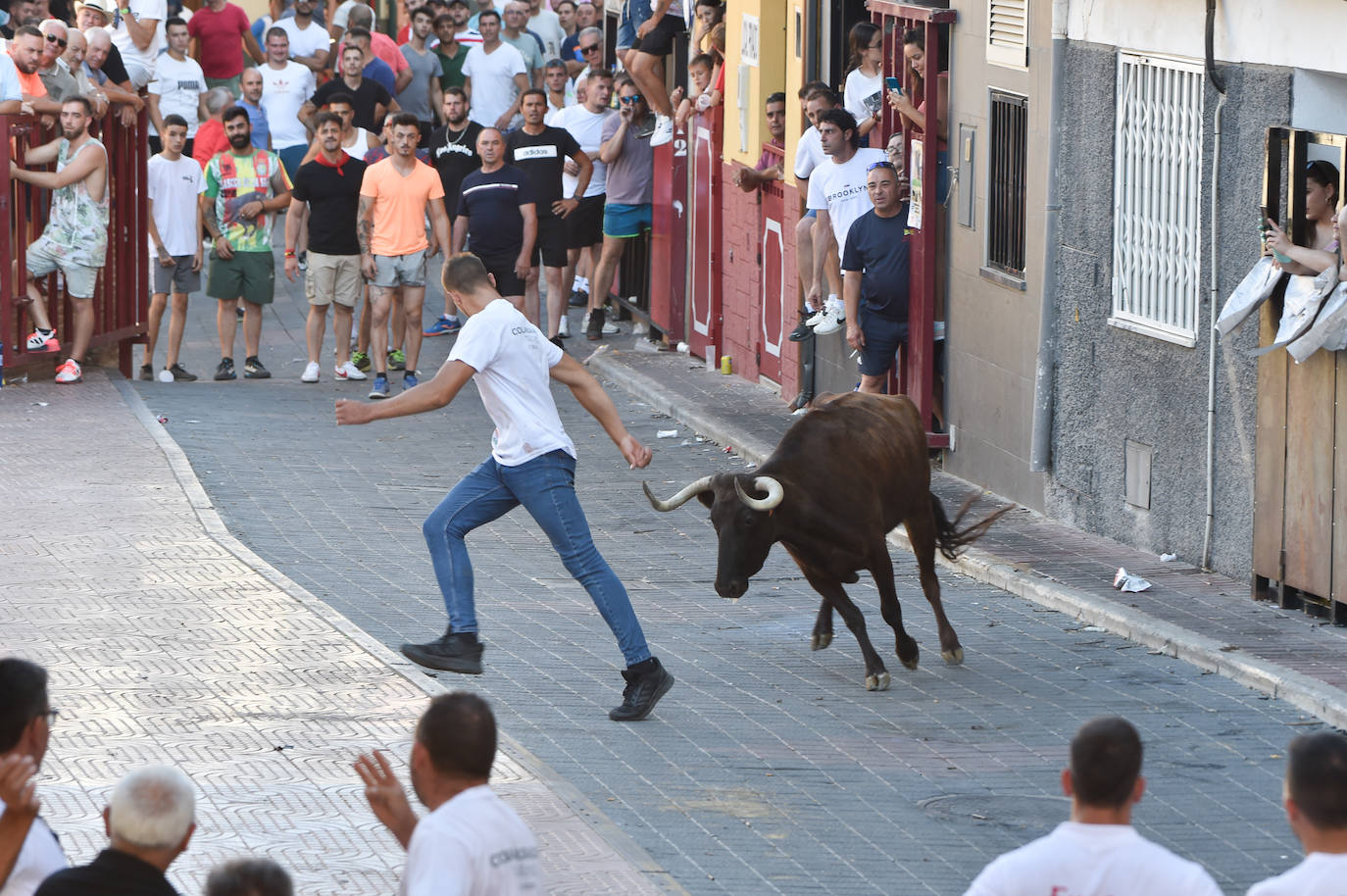 Fotos: Las imágenes del último encierro de Moratalla 2022