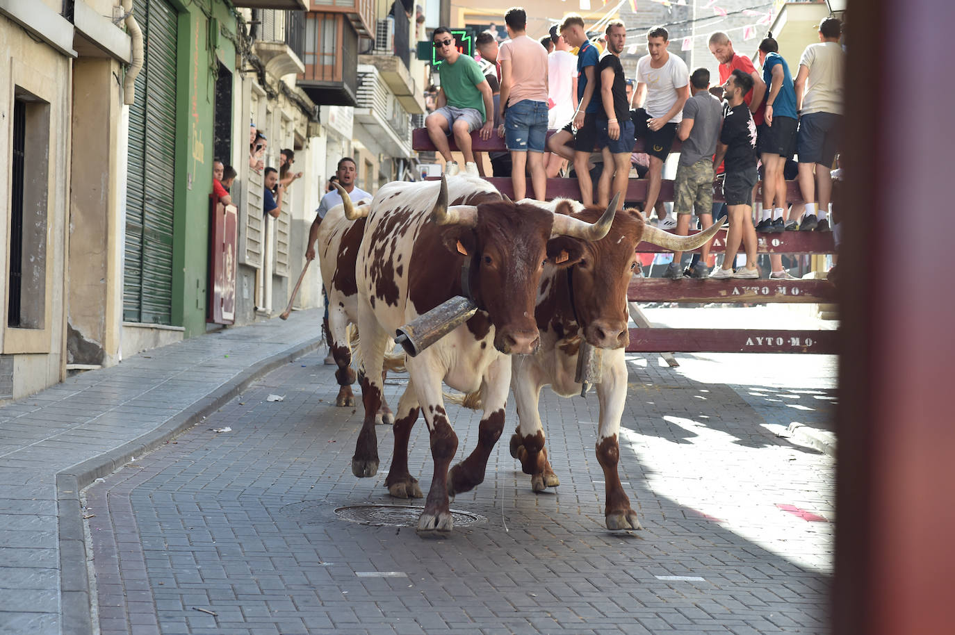 Fotos: Las imágenes del último encierro de Moratalla 2022
