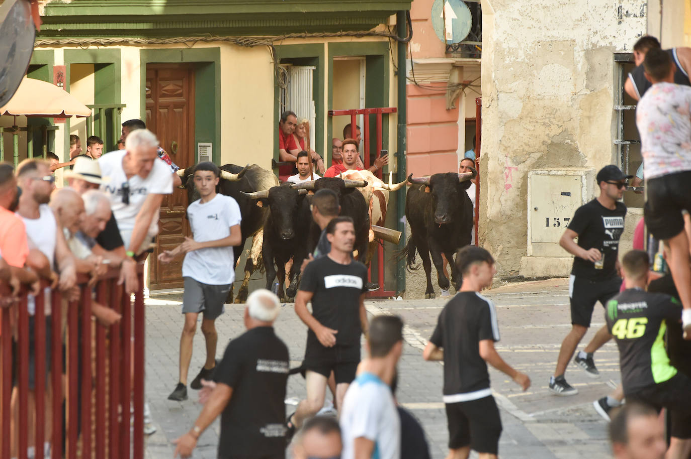 Fotos: Las imágenes del último encierro de Moratalla 2022