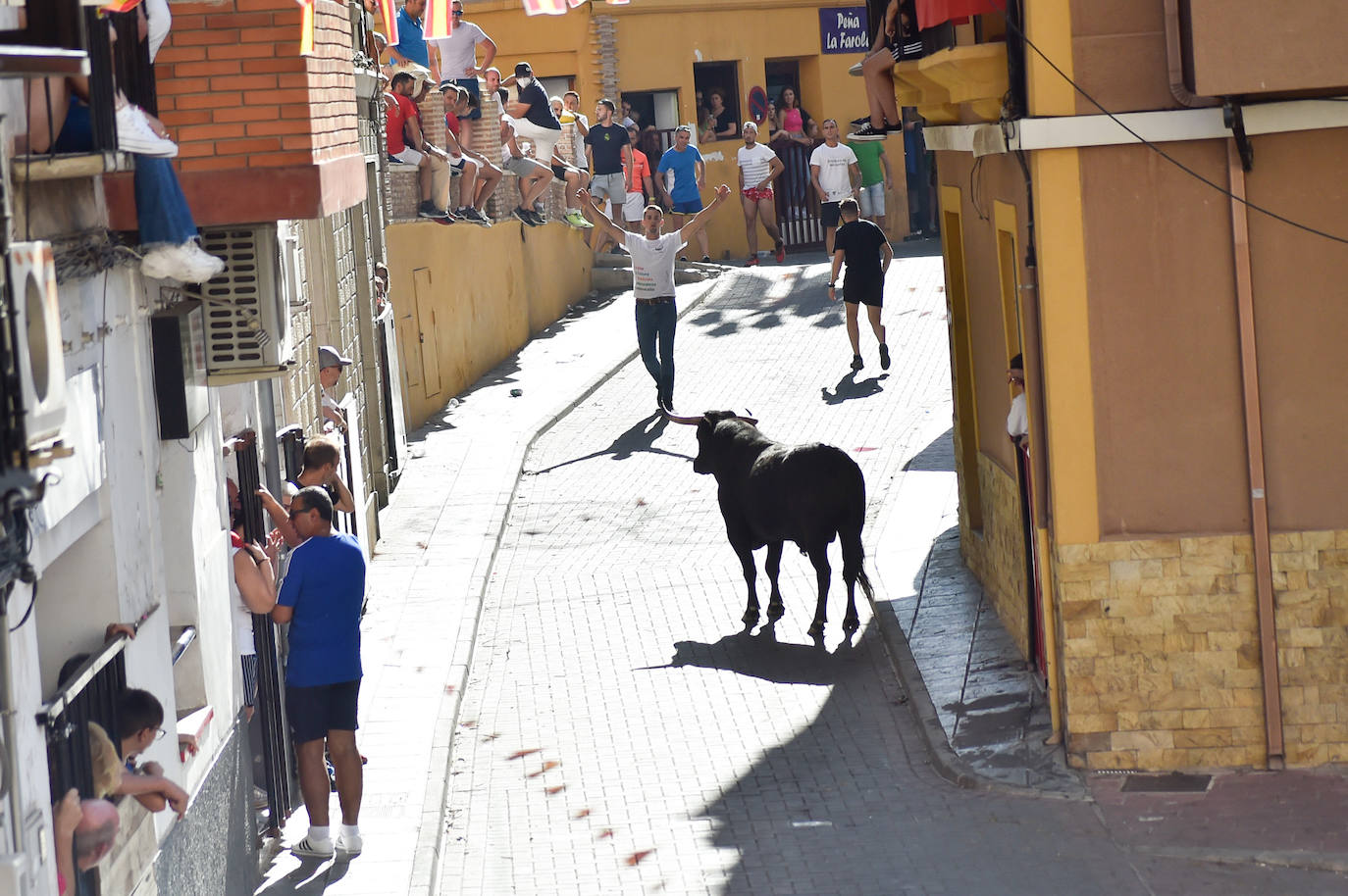 Fotos: Las imágenes del último encierro de Moratalla 2022