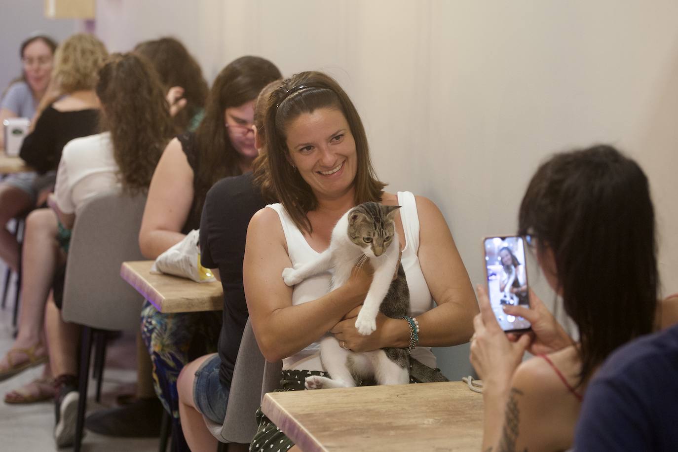 Fotos: La inauguración de la cafetería La Gatera de Murcia, en imágenes