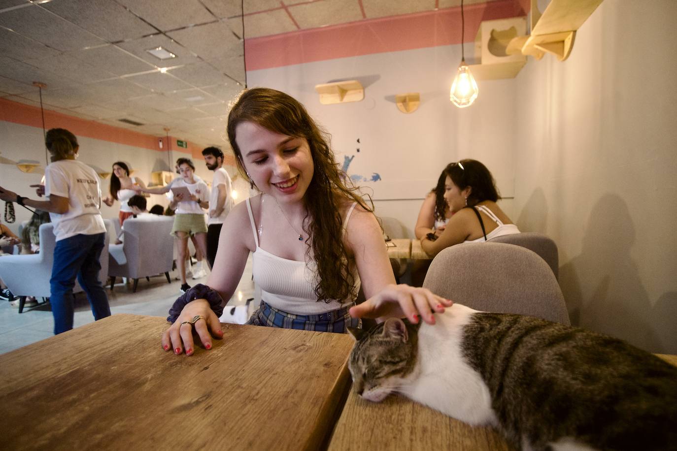 Fotos: La inauguración de la cafetería La Gatera de Murcia, en imágenes